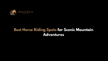 Best horseback riding in Seattle 