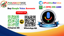 PvaUsaService