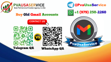 PvaUsaService