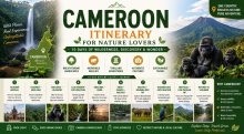Cameroon itinerary for nature lovers