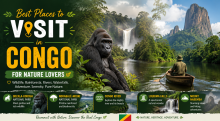 Best Places to Visit in Congo for Nature Lovers