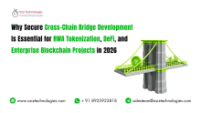 Blockchain Development Company | Osiz