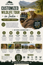 Customized Wildlife Tours in India