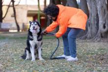 Dog Training Service in Bhubaneswar
