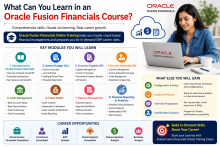 Oracle Fusion Financials Training, Oracle Fusion Financials Online Training