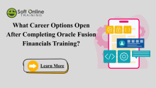 Fusion Financials Online Training, Oracle Fusion Financials Course, Oracle Fusion Financials Training, Oracle Fusion Financials Online Training