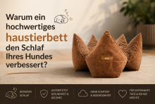 Warum ein hochwertiges haustierbett den Schlaf Ihres Hundes verbessert