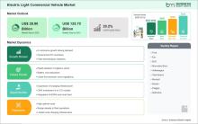 Electric Light Commercial Vehicle Market