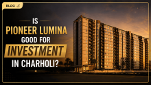  Pioneer Lumina Charholi