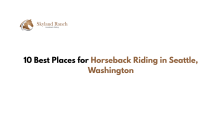 Horseback riding in Seattle Washington
