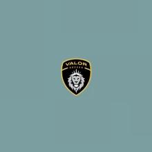 Youth Soccer Leagues