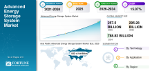 Advanced Energy Storage, Advanced Energy Storage Industry, Advanced Energy Storage Market, Advanced Energy Storage Market Size, Advanced Energy Storage Market Share, Advanced Energy Storage Market Trends, Advanced Energy Storage Market Growth, Advanced Energy Storage Market Demand