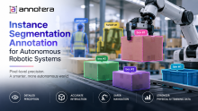 Instance Segmentation Annotation