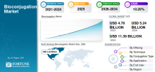 Bioconjugation, Bioconjugation Industry, Bioconjugation Market, Bioconjugation Market Size, Bioconjugation Market Share, Bioconjugation Market Trends, Bioconjugation Market Growth, Bioconjugation Market Demand