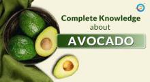 Avocado for diabetes