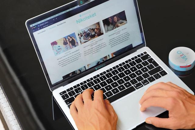 Freedom to operate search services by iipsearch