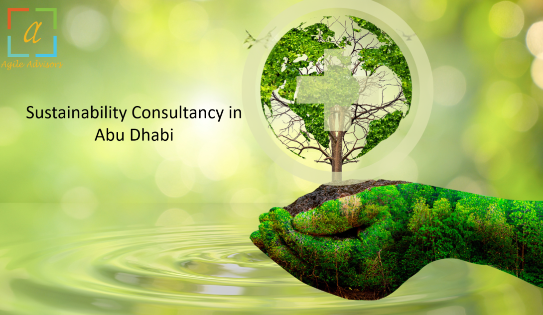 Sustainability constanacy,Sustainability Consultant,