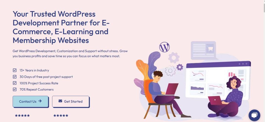 WordPress Custom Development & Maintenance - TeknoFlair