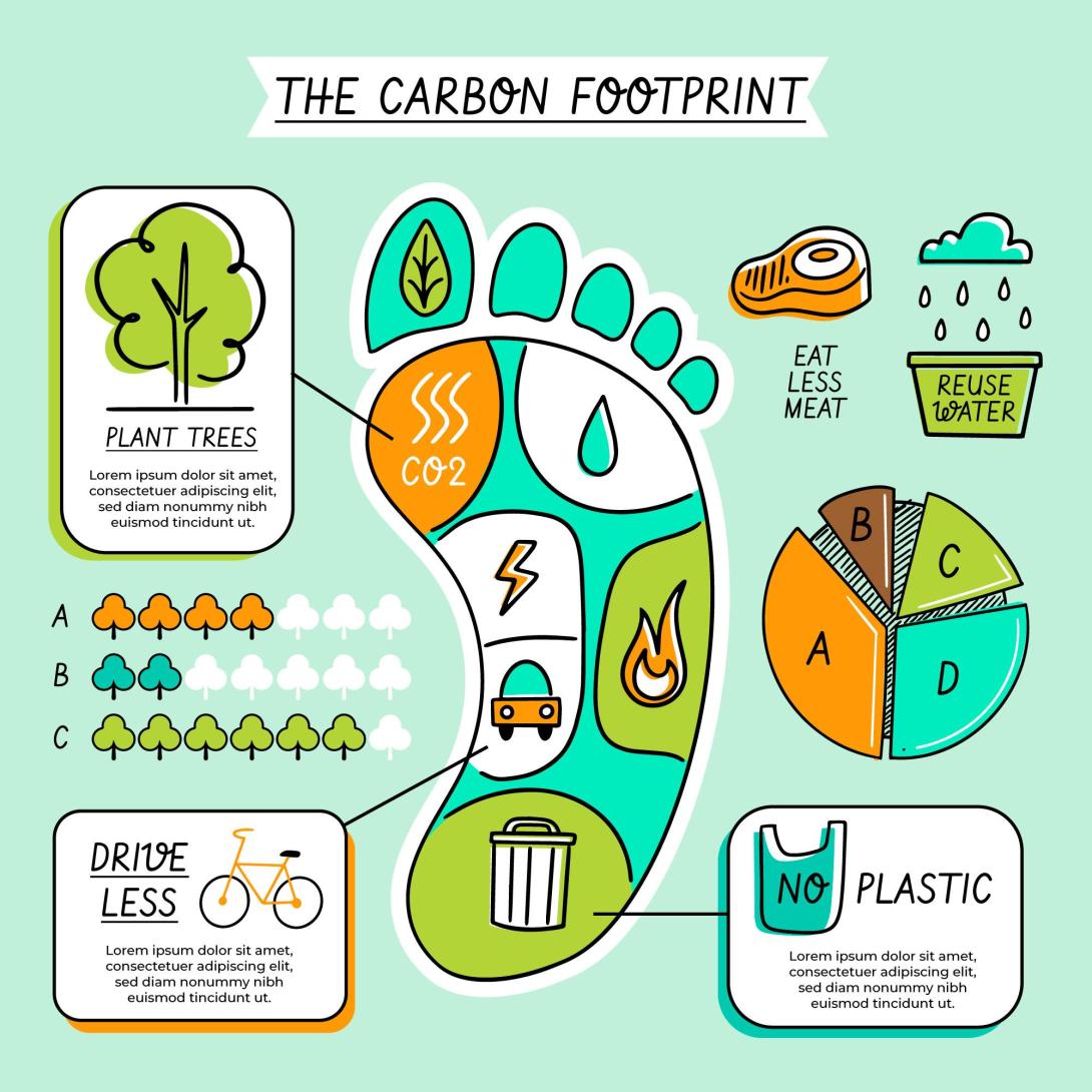 Looking for a Carbon Footprint Consultant in Oman? Agile Advisors helps businesses measure, reduce, and offset emissions to achieve sustainability, ESG compliance, and net-zero goals. Contact us today! 