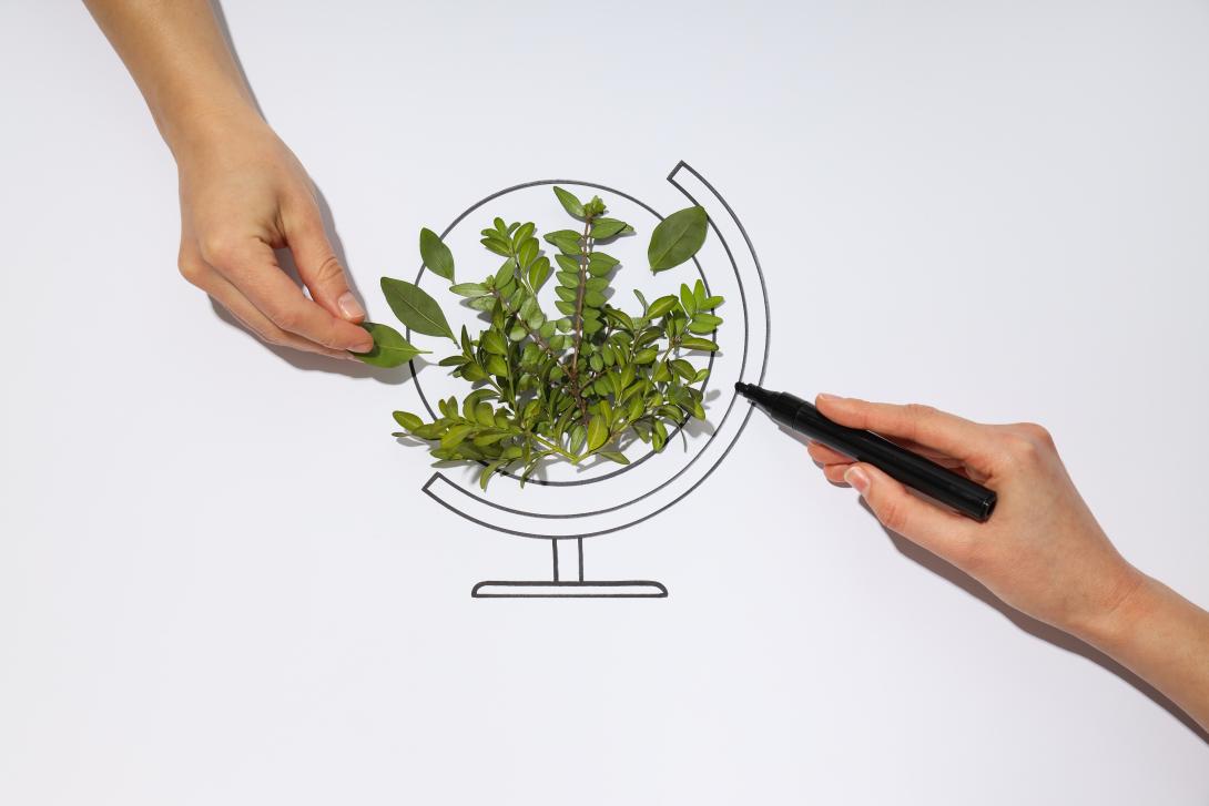 Looking for a Carbon Footprint Consultant in Oman? Agile Advisors helps businesses measure, reduce, and offset emissions to achieve sustainability, ESG compliance, and net-zero goals. Contact us today! 