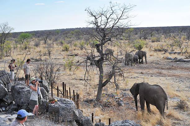 Safari Guide Training Namibia