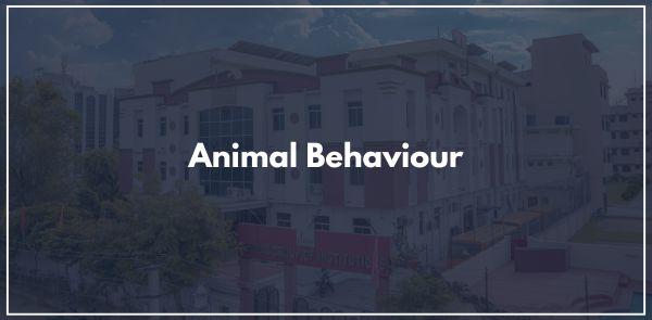 Researchers study animal behavior using various methods, including field observations, experiments, and controlled studies in laboratory settings.