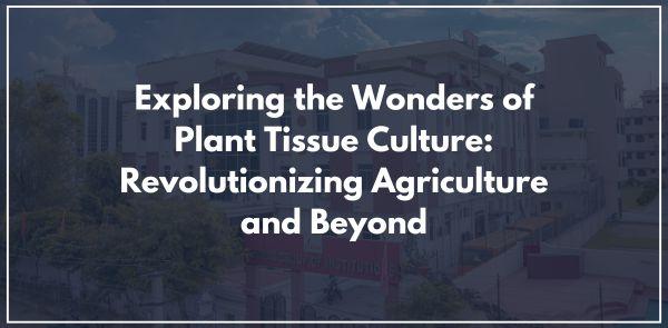 Exploring the Wonders of Plant Tissue Culture: Revolutionizing Agriculture and Beyond