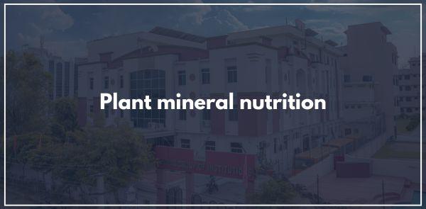 Many factors influence nutrient uptake for plants. 