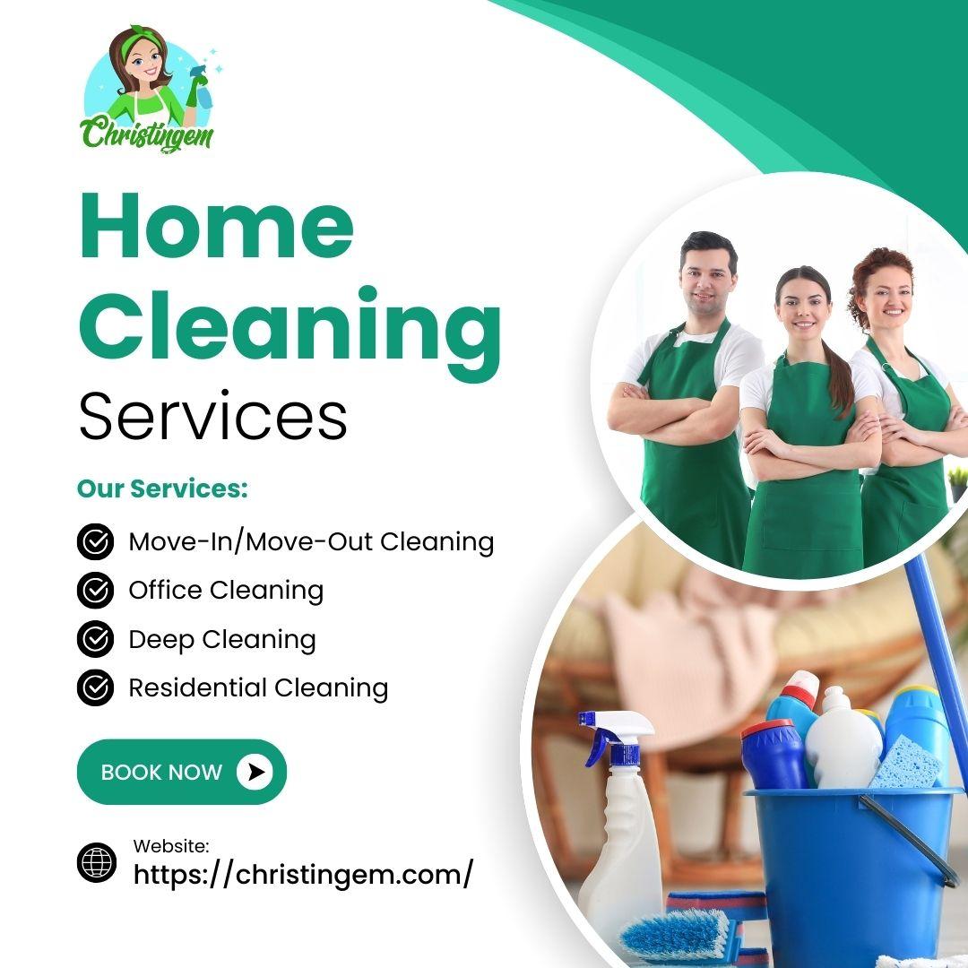 Professional Cleaning Services 