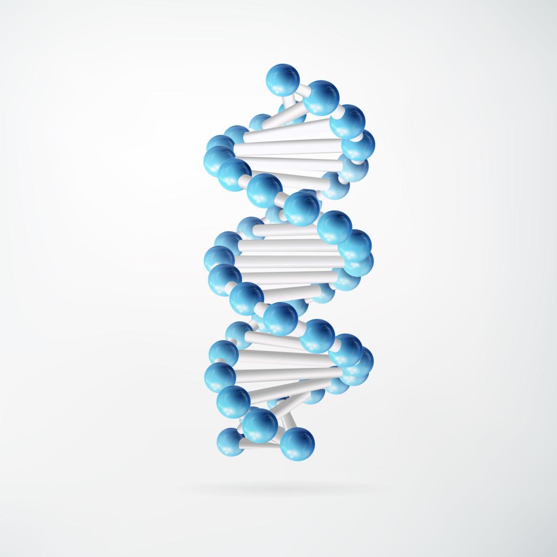Chemical Structure Search Services 
