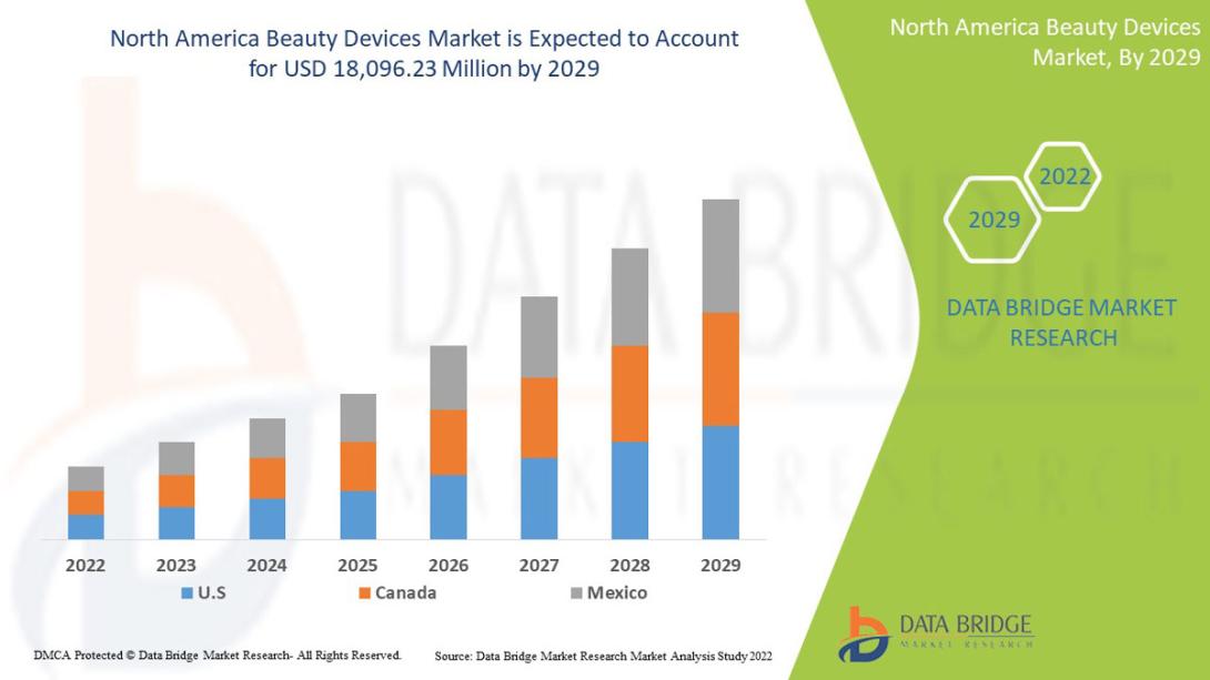 North American beauty devices market 
