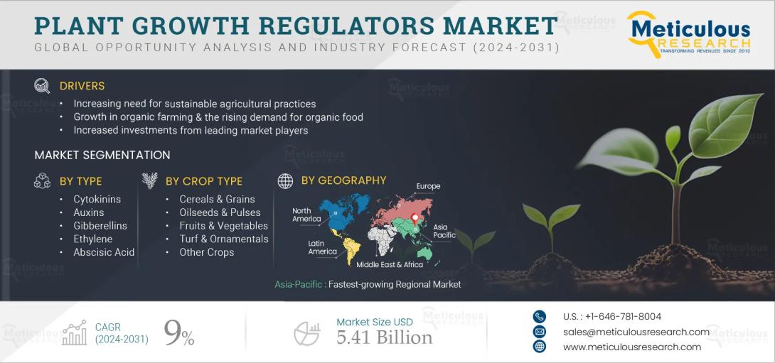 #PlantGrowthRegulators, #Agriculture, #OrganicFarming, #SustainableAgriculture, #MarketResearch, #CropManagement, #Agrochemicals, #FarmingInnovation, #Agribusiness, #GlobalMarket