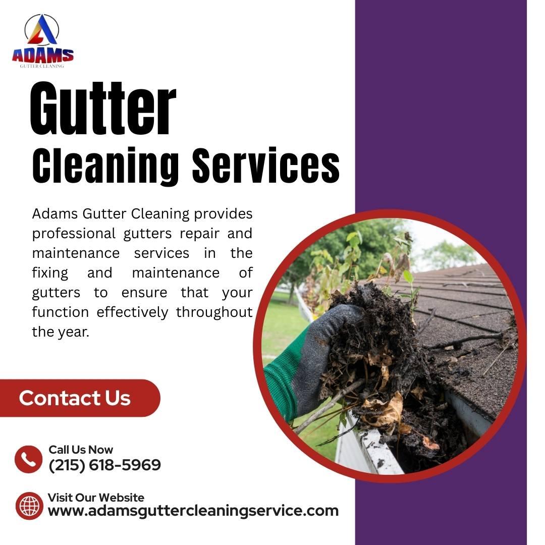 Gutter Cleaning Services in New Jersey You Can Trust