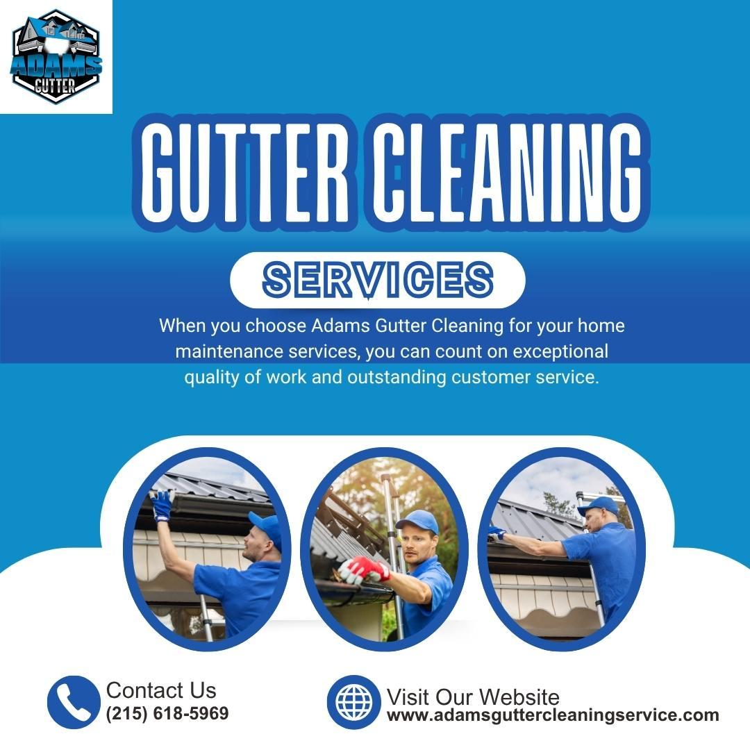 Gutter Cleaning Services 