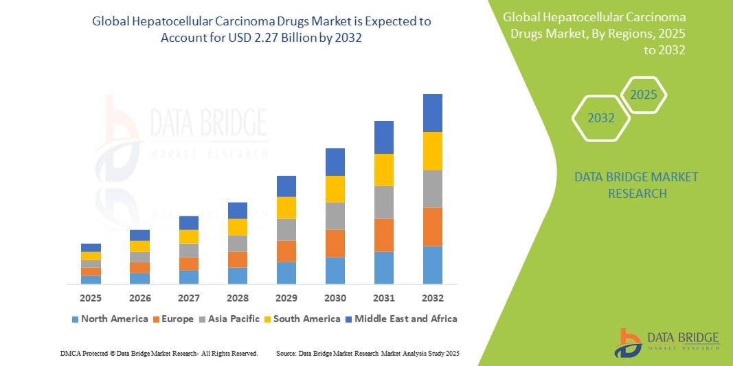  Hepatocellular Carcinoma Drugs Market 