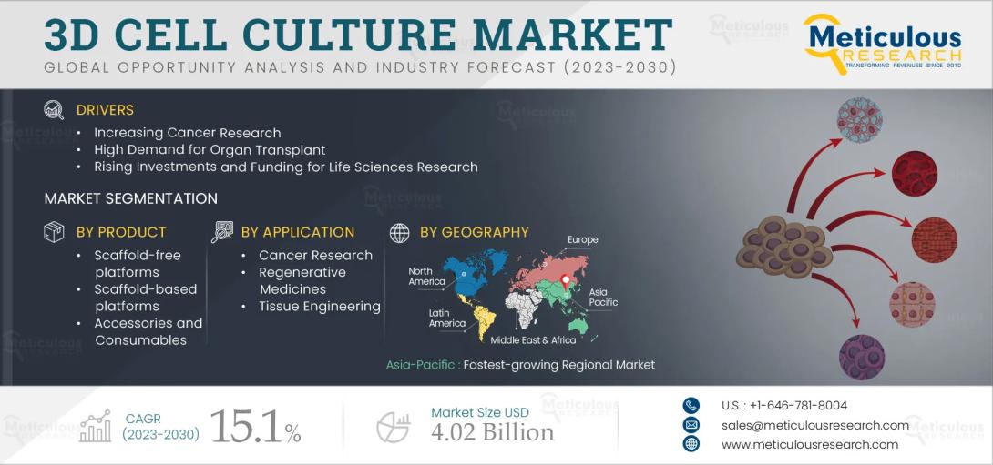 #3DCellCulture, #CellBasedAssays, #DrugDiscovery, #CancerResearch, #RegenerativeMedicine, #Biotechnology, #LifeSciences, #HealthcareInnovation, #TissueEngineering, #MarketResearch, #BiomedicalResearch, #CellCultureTechniques, #PharmaceuticalResearch, #Organoids, #Spheroids, #InVitroModels, #LabTechnology, #AdvancedCellModels, #BiotechTrends, #MedicalResearch