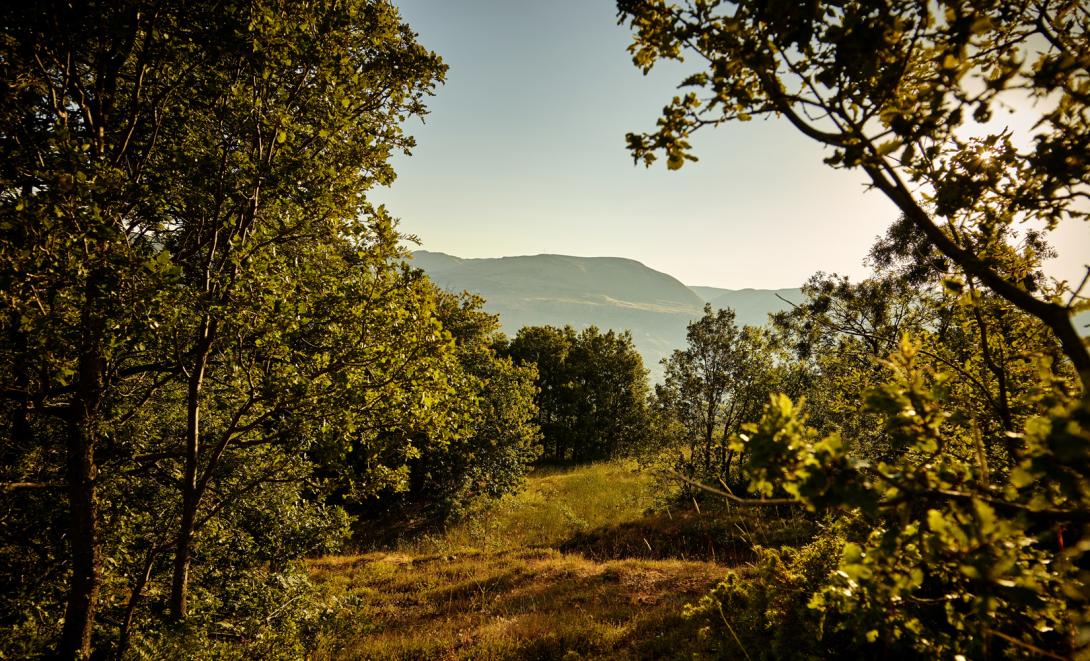 Buy land in Kfardebian, Invest in a second passport in Lebanon