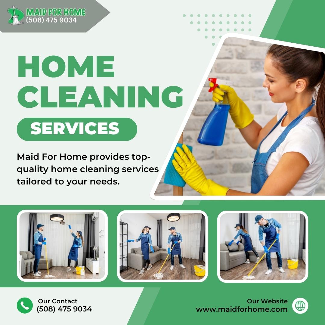 Residential Cleaning Professional 