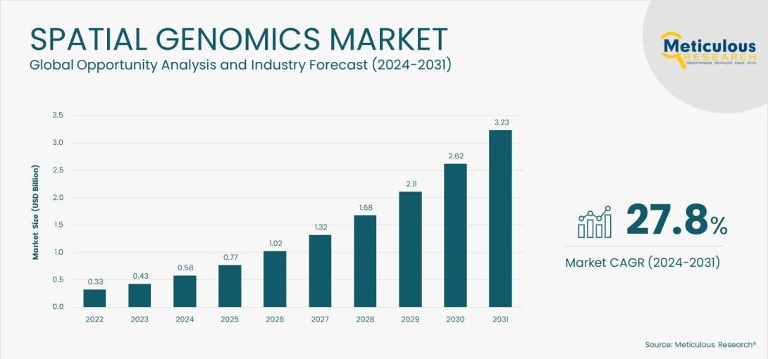 #SpatialGenomics, #GenomicsMarket, #BiomedicalResearch, #PrecisionMedicine, #CancerResearch, #GeneMapping, #DrugDiscovery, #LifeSciences, #SpatialBiology, #GenomicsInnovation