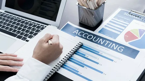 Accounting and Financial Management Services