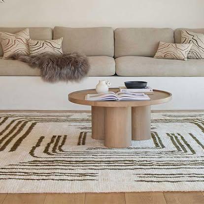 Modern Rugs which not collect the dust