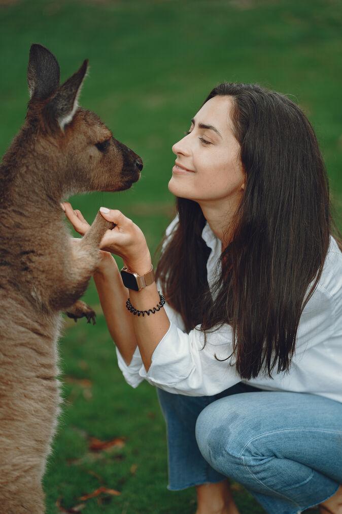 animal communication via Reiki