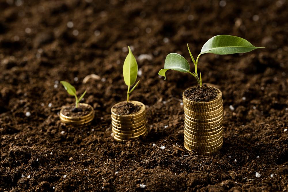 Farming and Agriculture Finance Market 