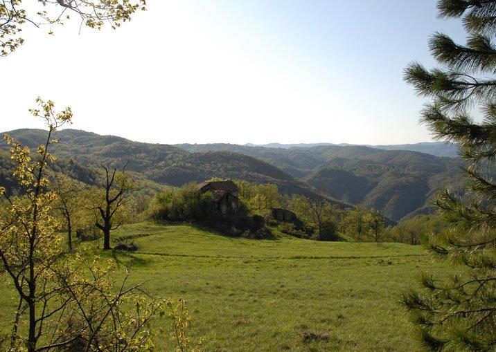 Piemonte Property for Sale