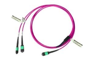 MTP MPO Conversion Cables