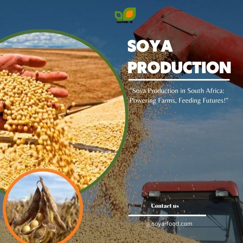 soyafood supplier