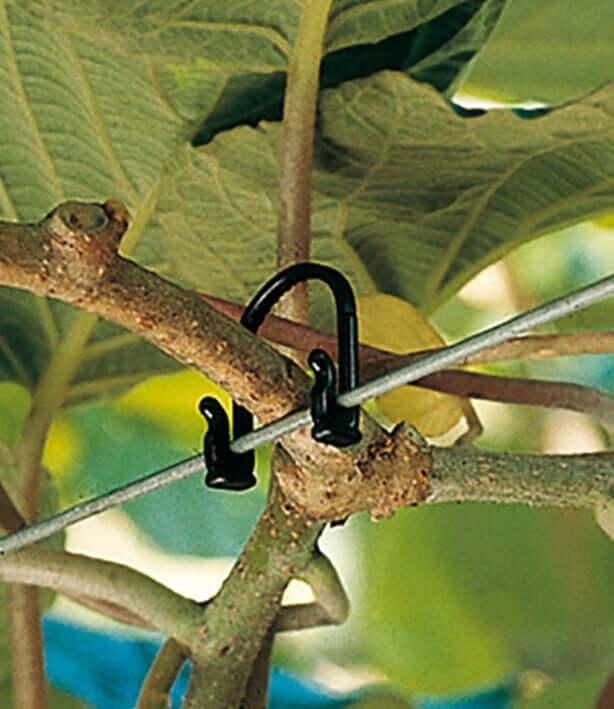 plant ties for trellis