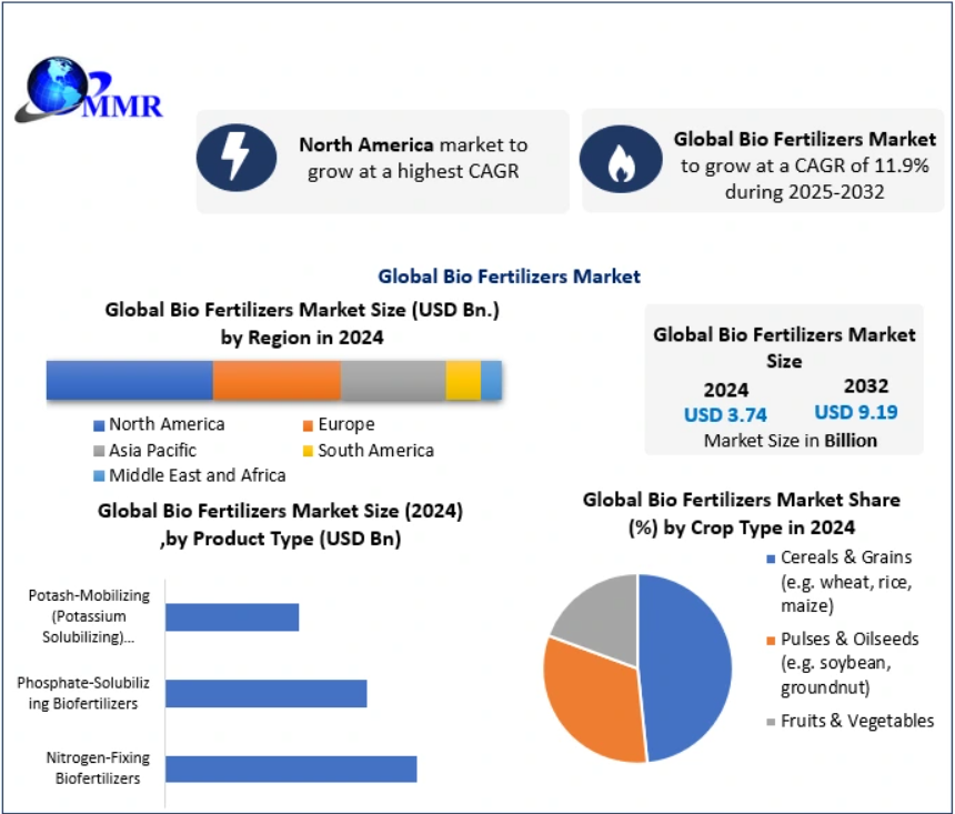 Global Bio Fertilizers Market was valued at US$ 2.99 Bn. in 2022. Microbes are increasingly being used in bio fertilizers, demonstrating their promise for sustainable farming and food safety. 