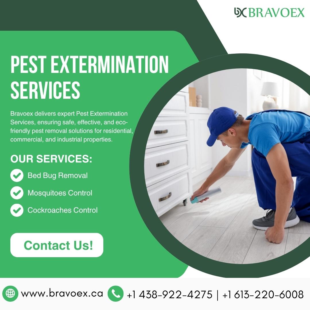 Pest Extermination Services Ottawa