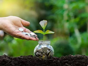 mutual fund investment platform